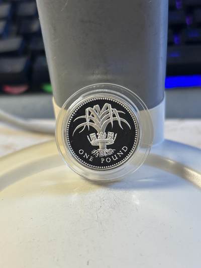 第194期拍卖 - 英国1985年1英镑系列威尔士韭菜精制加厚纪念银币，19克，发行15000枚