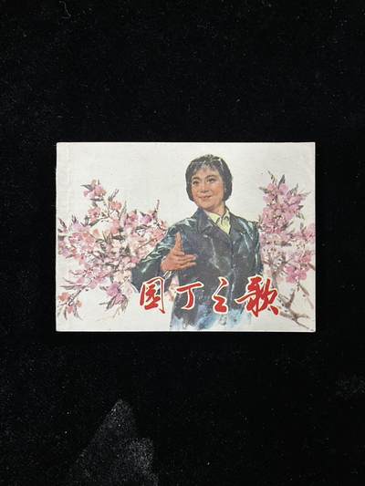 【麦稀奇首场】连环画拍卖 - 园丁之歌