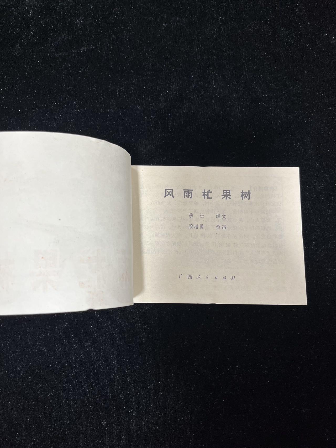 【麦稀奇首场】连环画拍卖 风雨杧果树