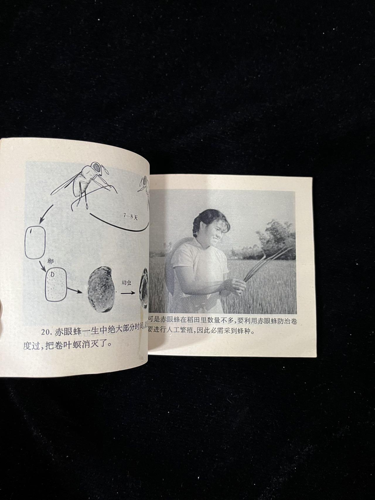 【麦稀奇首场】连环画拍卖 育蜂治虫