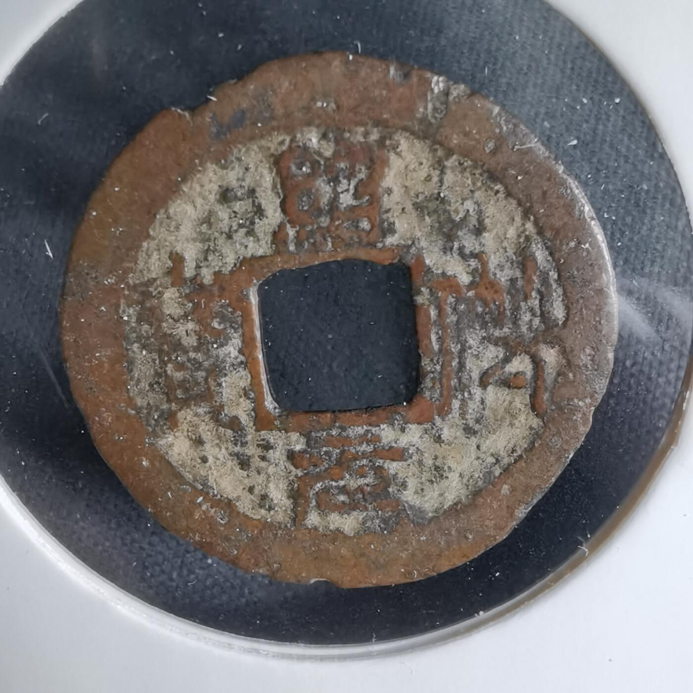 沼泽如烟--第1033场