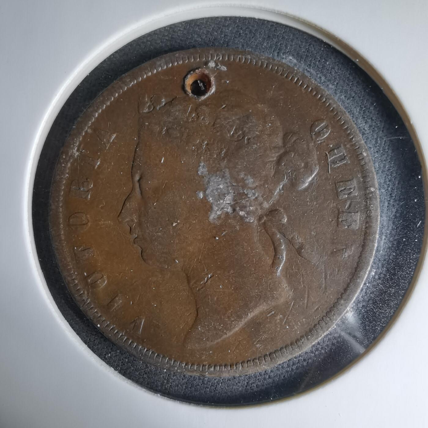 沼泽如烟--第1033场