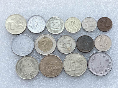 第一海外回流一元起拍收藏 散集专场  第304期 - 土耳其硬币 15枚 无重复