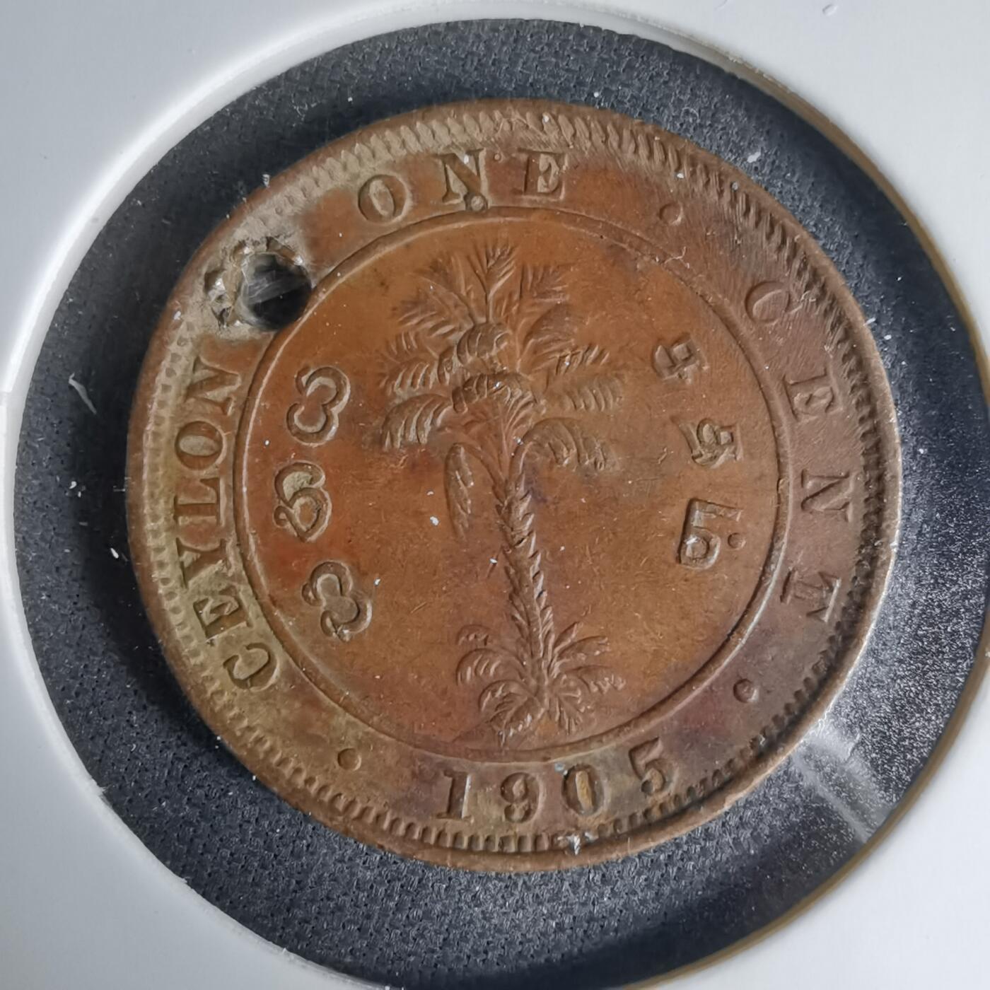 沼泽如烟--第1033场 英属锡兰1905年一分