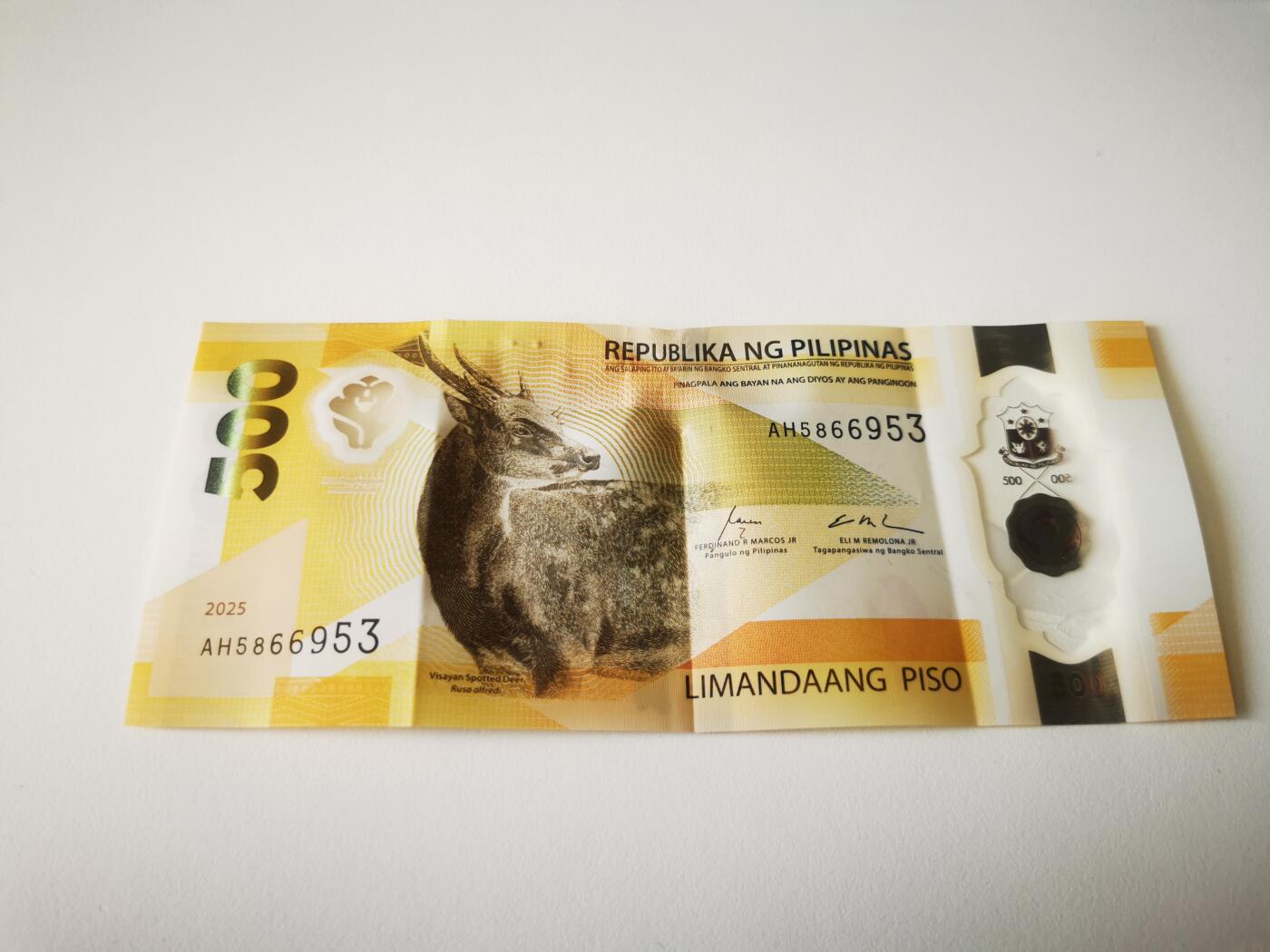 零零发流通品外国纸币拍卖 无佣金 新版菲律宾塑料钞，上部有烫伤不平无法恢复