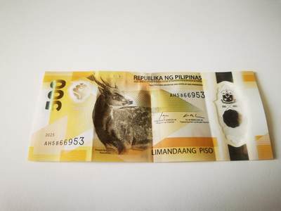 零零发流通品外国纸币拍卖 无佣金 - 新版菲律宾塑料钞，上部有烫伤不平无法恢复