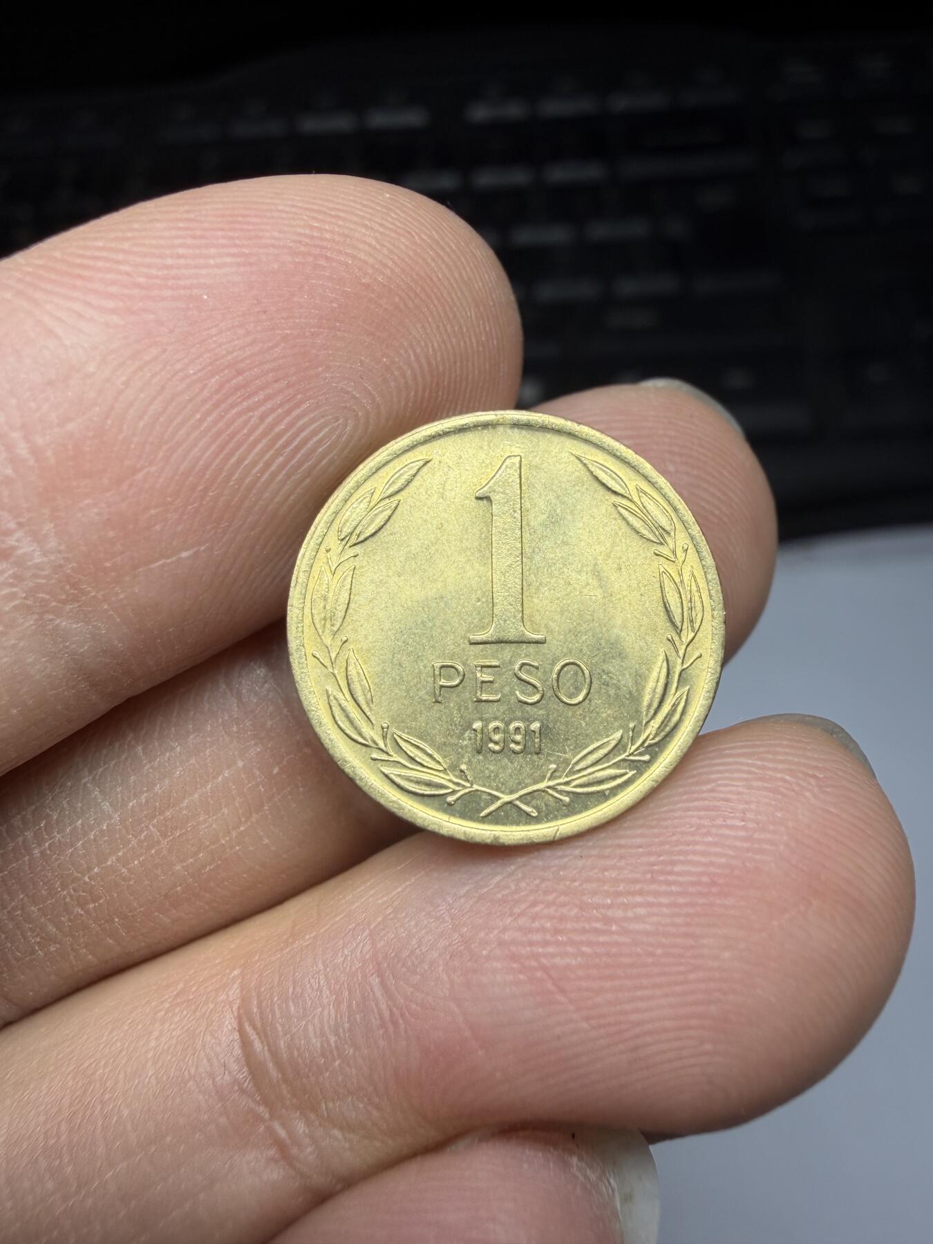 2026年集古藏今外币拍卖第三期-第6场—（总第316拍），可以寄存60天，满160元包邮。 1991年智利1比索