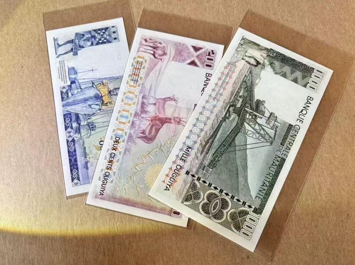 【礼羽收藏】🌏世界钱币拍卖129期