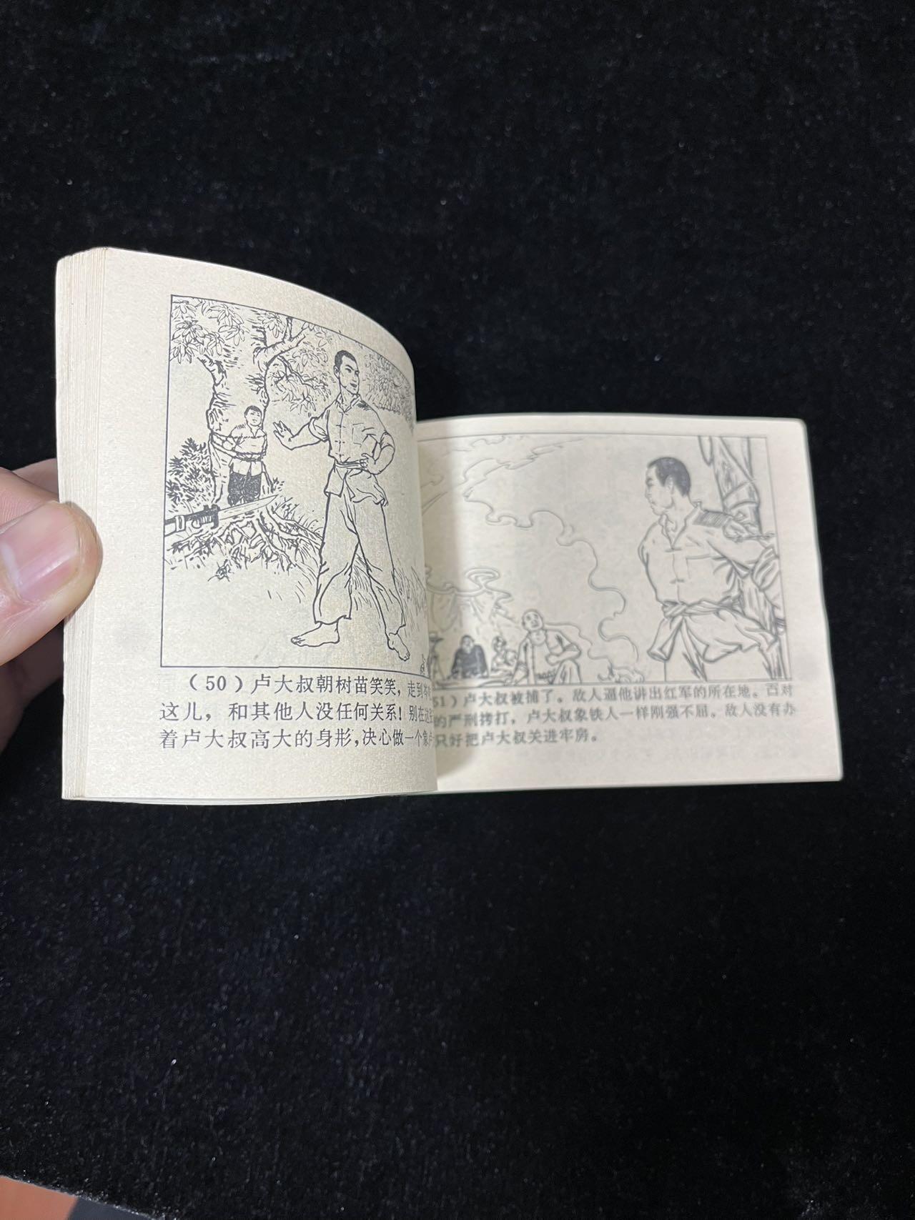 【麦稀奇首场】连环画拍卖 风雨杧果树