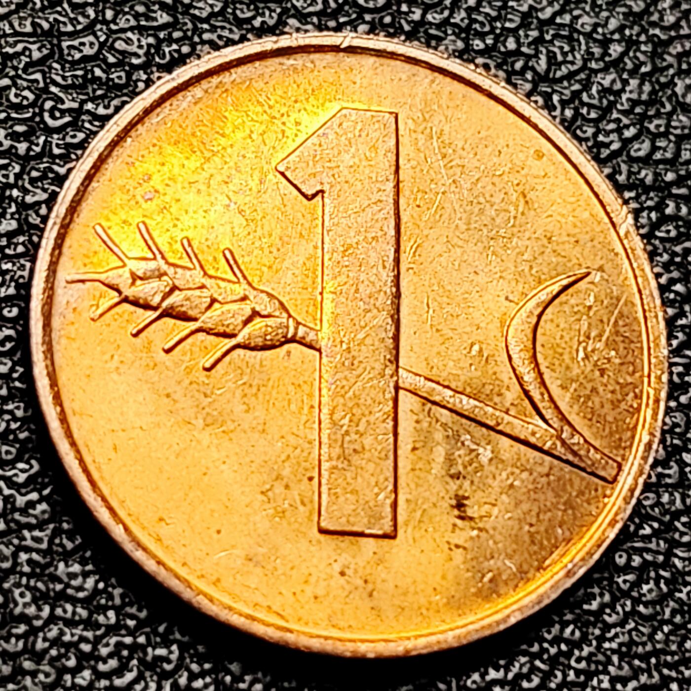 泉币菌-第215场-拍品多 请提前出价（工作最近较忙 发货不及时，望理解） 。