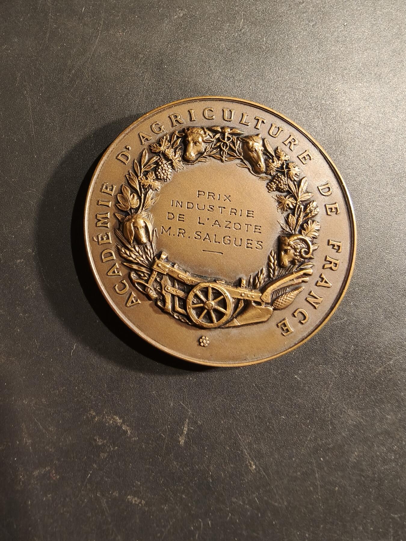 老王徽章第188期 法国农业科学院氮工业奖大铜章    播种女神     原盒，盒子扣不紧     直径50mm    重量67.3g 