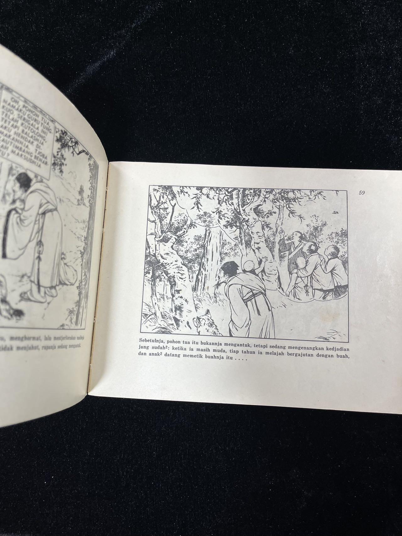 【麦稀奇首场】连环画拍卖 1955年英文版-东郭先生