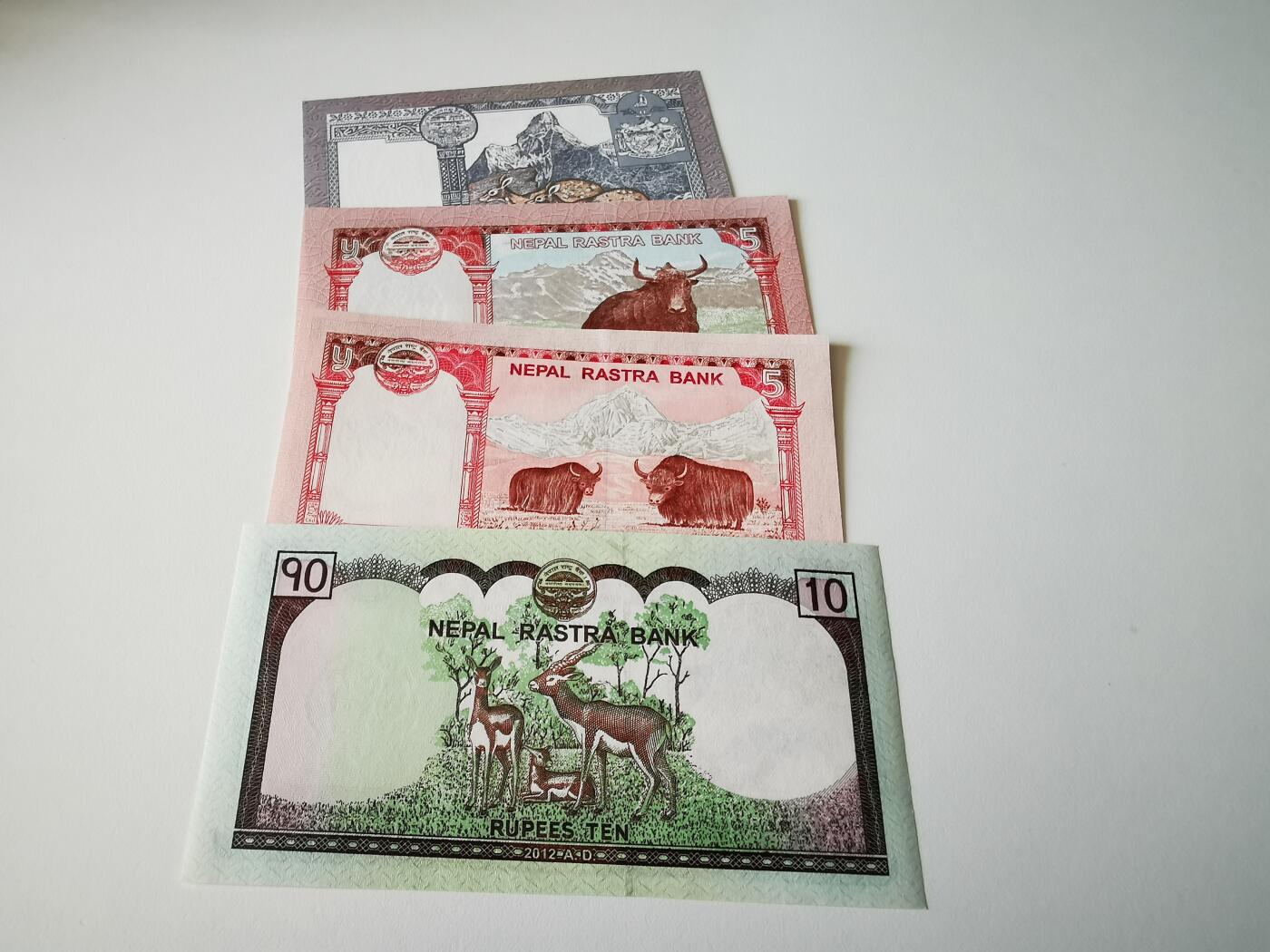 零零发流通品外国纸币拍卖 无佣金 尼泊尔一组全新