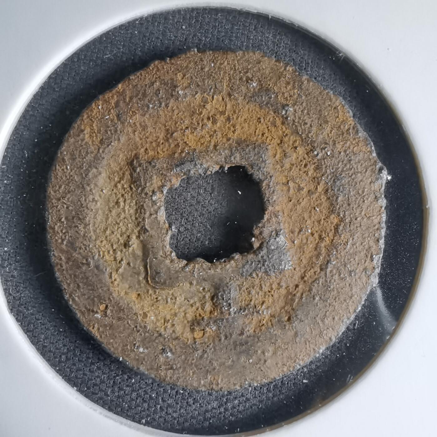 沼泽如烟--第1033场