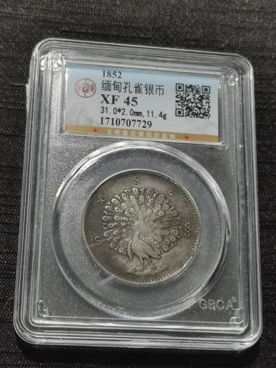 天下钱庄专场欢迎参拍 - 缅甸孔雀银币