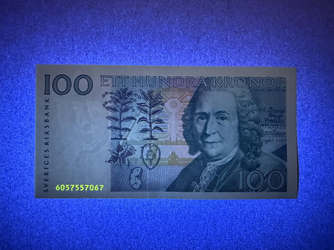 《艾美收藏》第237期-3.22周日外币强钞白金场 瑞典100克朗 UNC 1996年初版 瑞典自然科学家林奈 无4