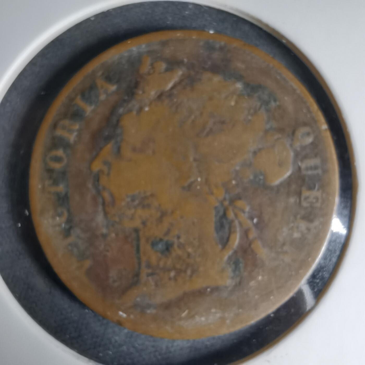 沼泽如烟--第1033场