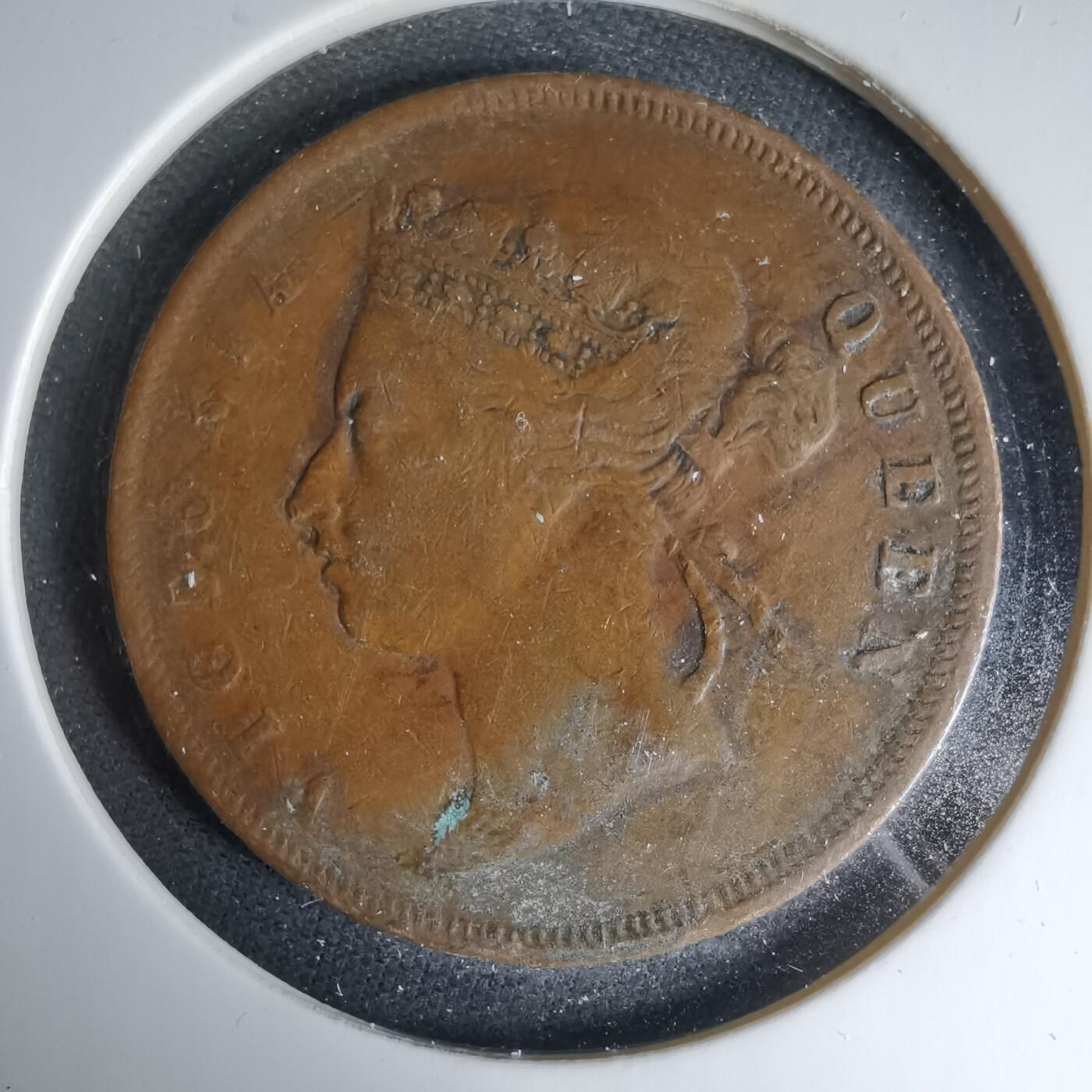 沼泽如烟--第1033场