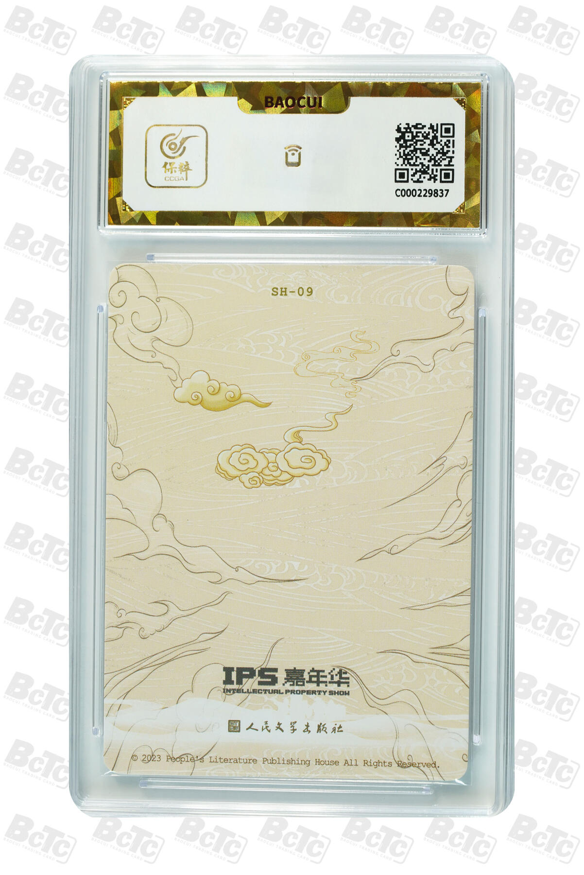 阳大大卡牌拍卖第105期（持续收拍品，周五晚上九点截拍，进群福利早知道）