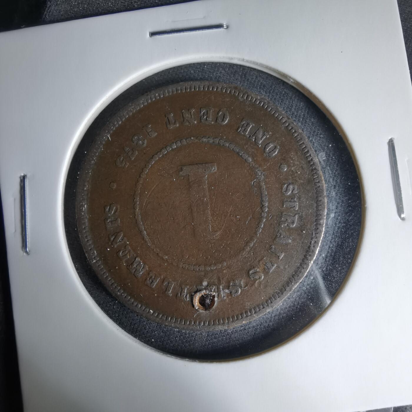 沼泽如烟--第1033场