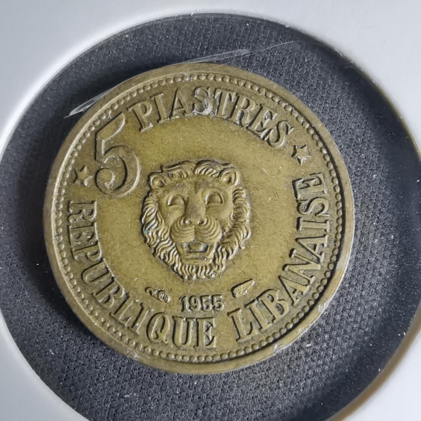 沼泽如烟--第1033场