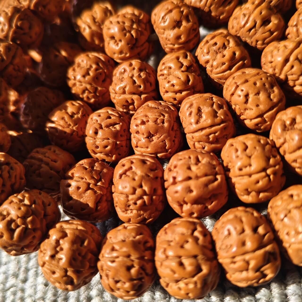 树王大尺寸五瓣小金刚