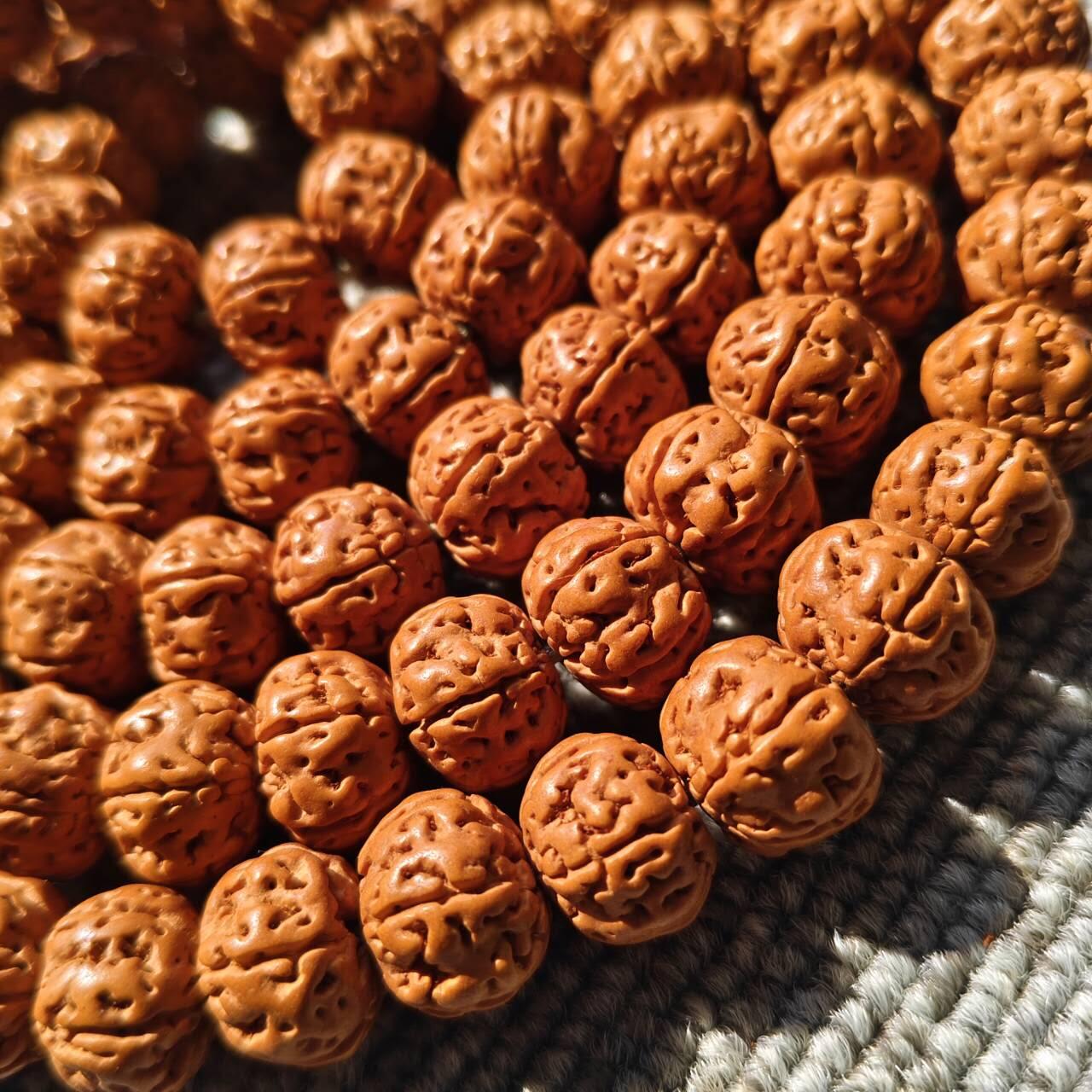 树王大尺寸五瓣小金刚