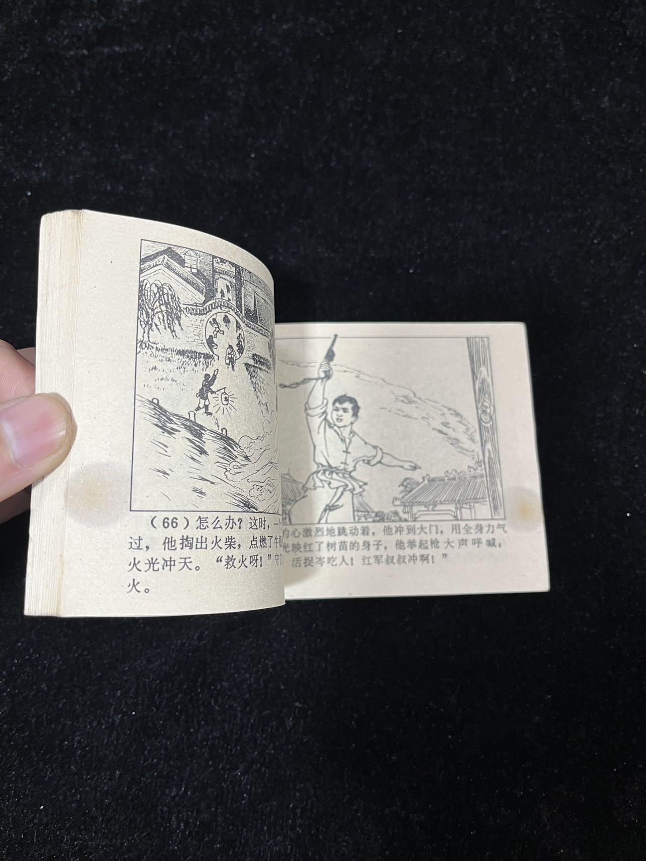 【麦稀奇首场】连环画拍卖 风雨杧果树