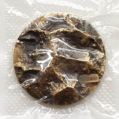 博洋堂世界钱币拍卖第165期（全场包邮） - 喀麦隆2021年500中非法郎仿古立体铜币 珠穆朗玛峰8848.86m 40mm 发行量：333 盒证全