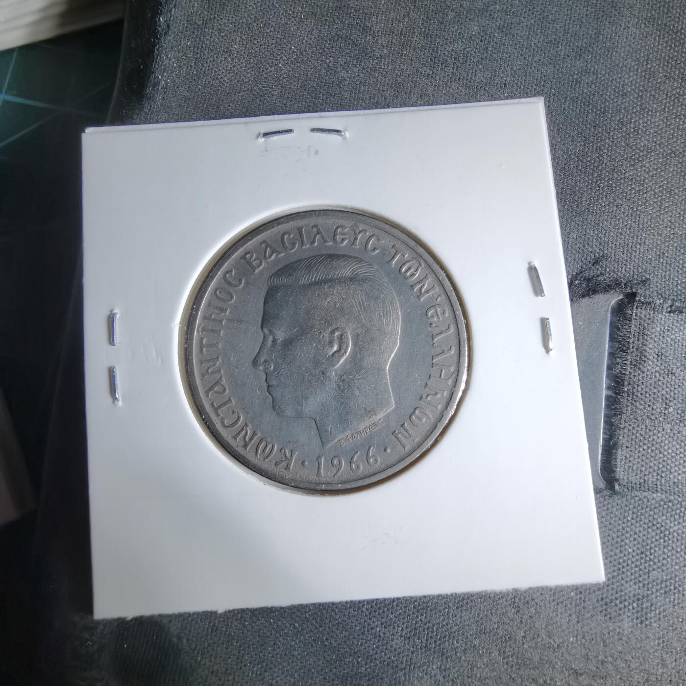 沼泽如烟--第1033场