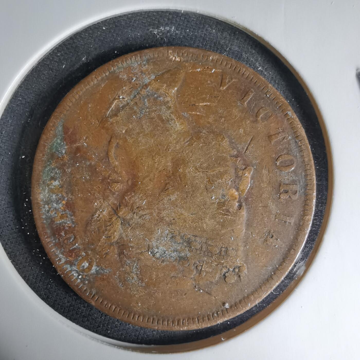 沼泽如烟--第1033场