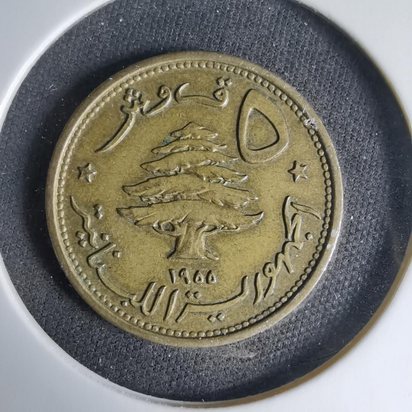 沼泽如烟--第1033场