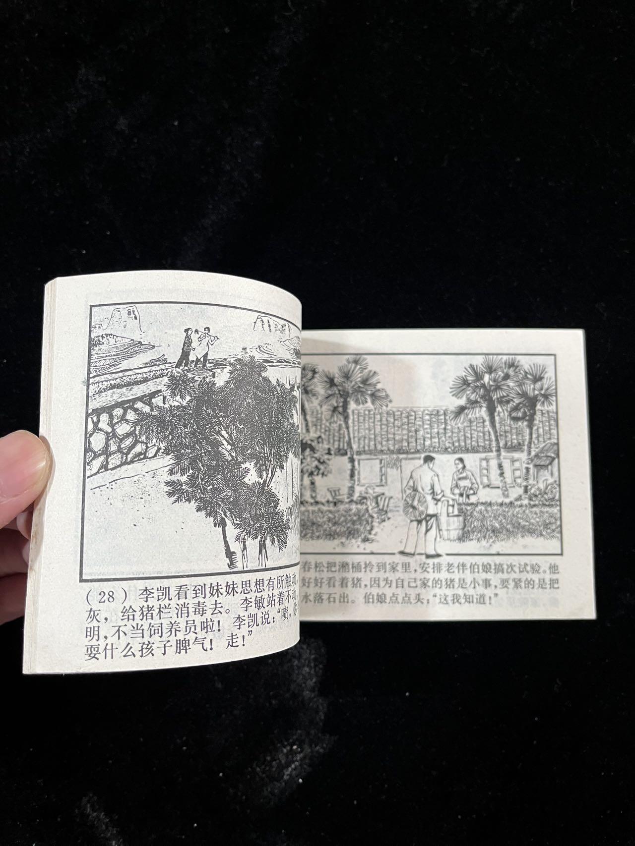 【麦稀奇首场】连环画拍卖 主课