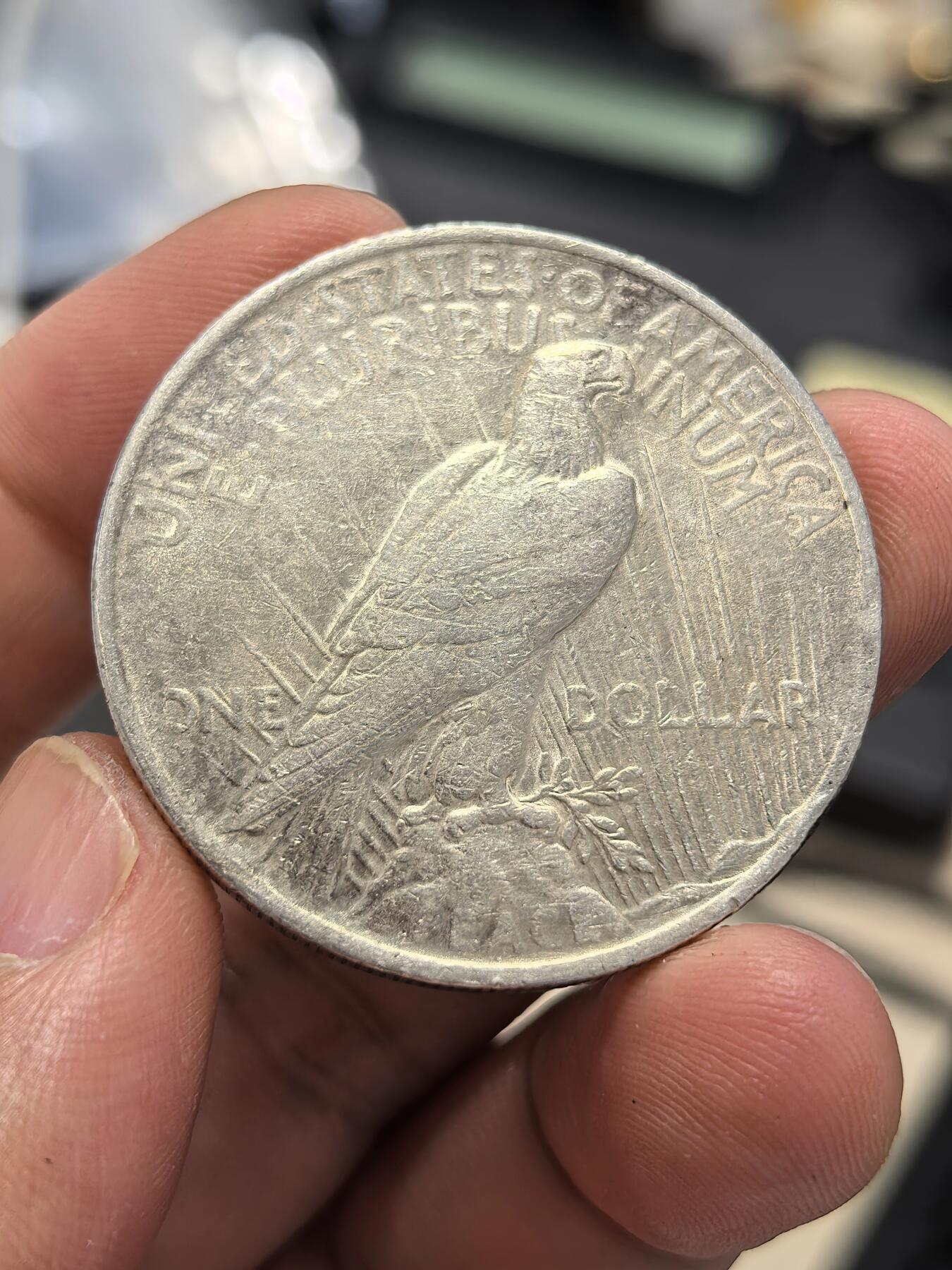 博洋堂世界钱币拍卖第165期（全场包邮） 美国1923年和平女神银币