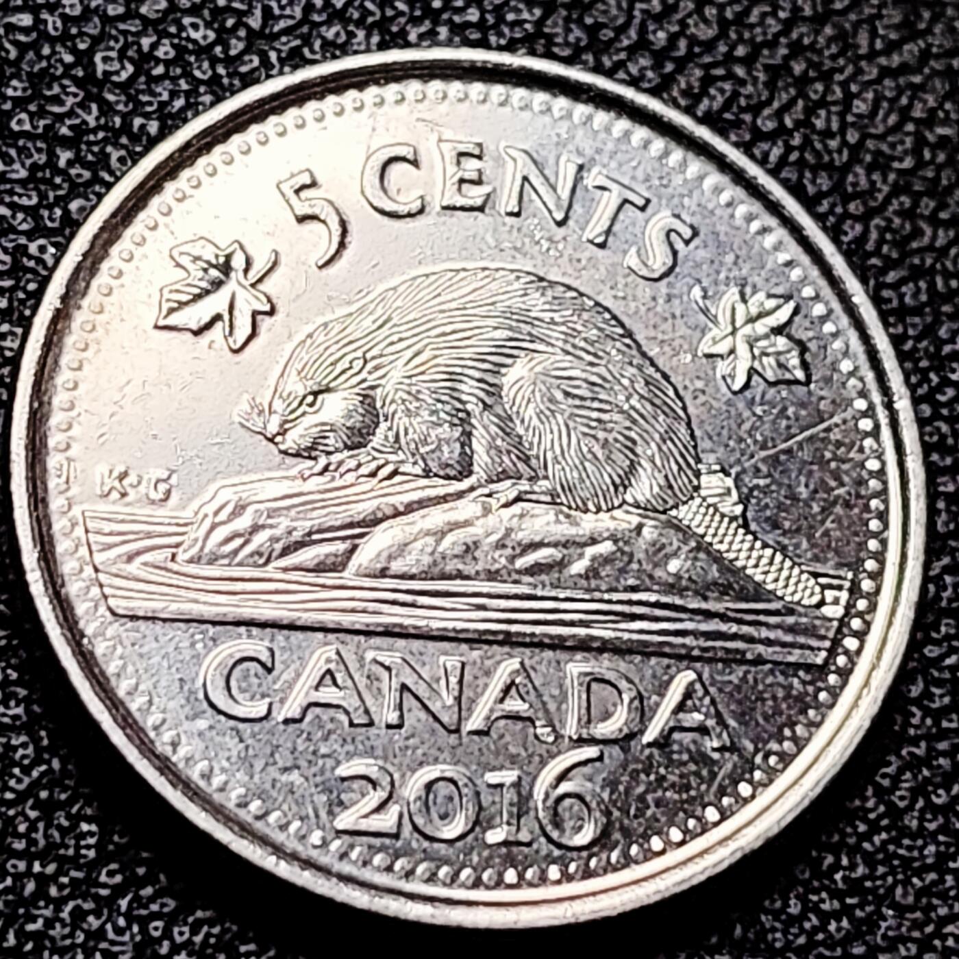 泉币菌-第215场-拍品多 请提前出价（工作最近较忙 发货不及时，望理解） 。