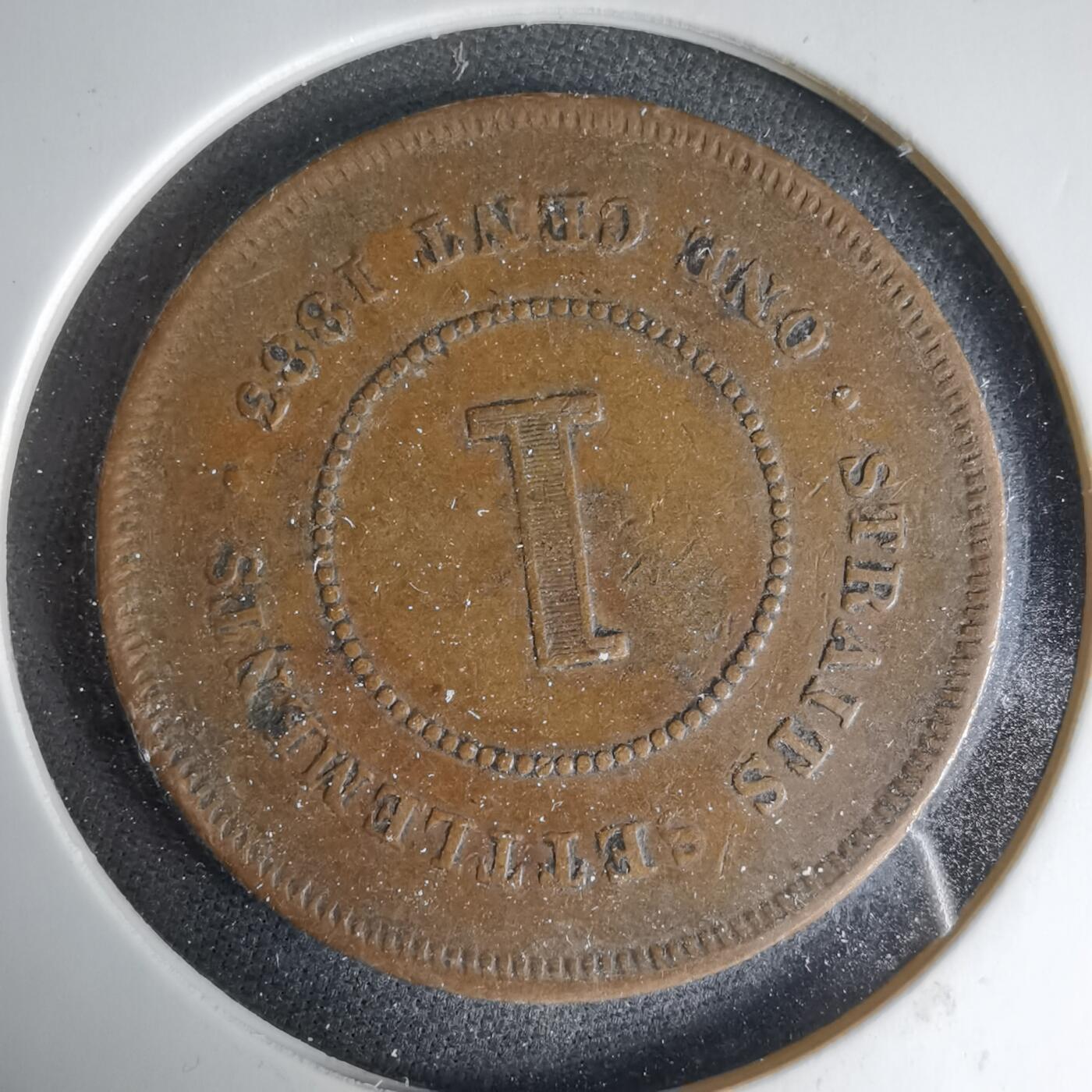 沼泽如烟--第1033场