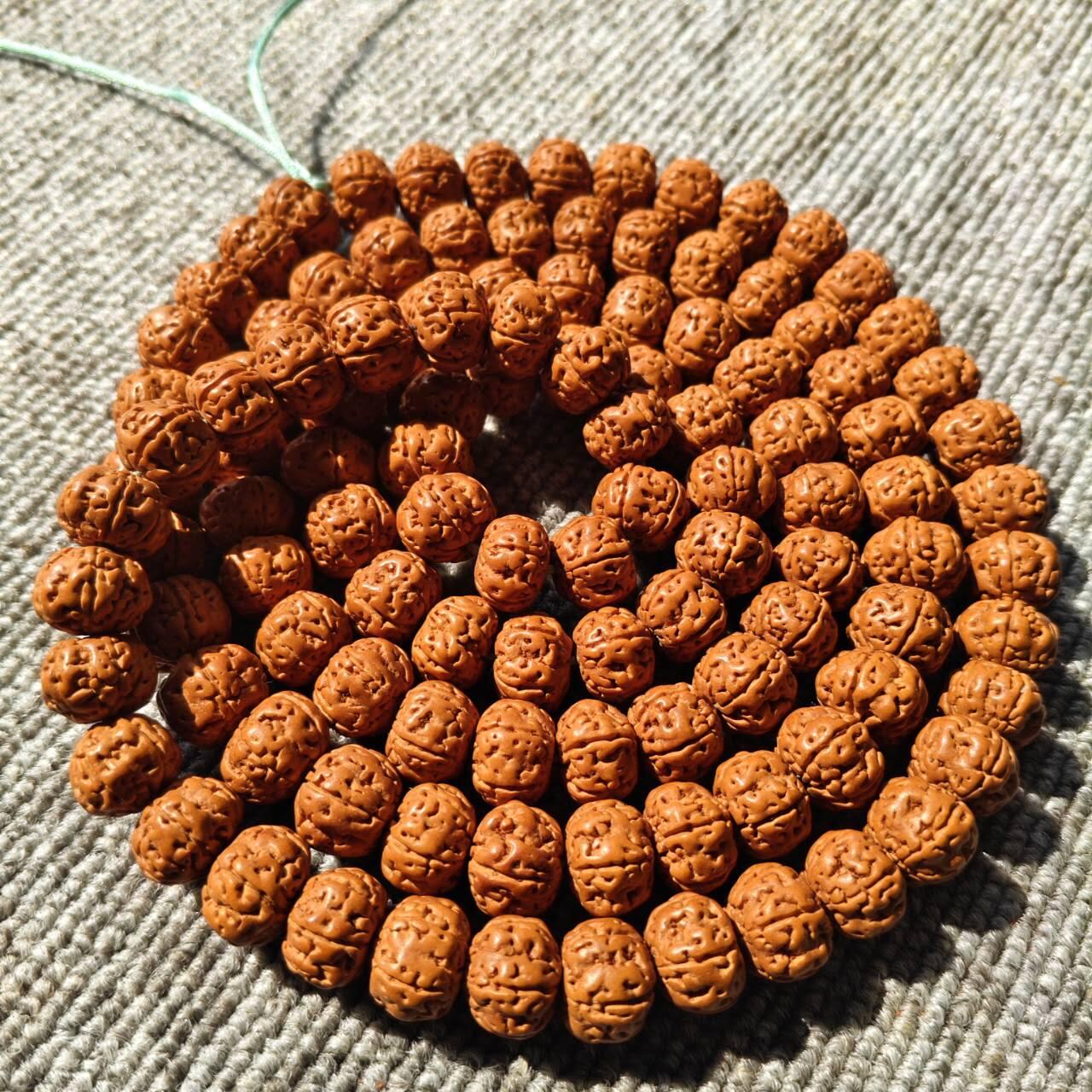 树王大尺寸五瓣小金刚