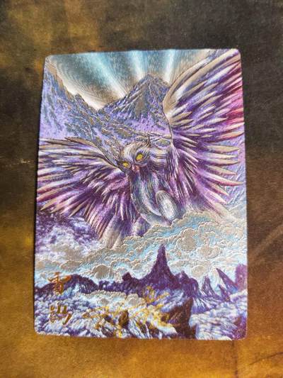 阳大大卡牌拍卖第105期（持续收拍品，周五晚上九点截拍，进群福利早知道） - 【亲签卡】齐卡文化《异兽录》 陈晨 凤育九雏 雪鸮