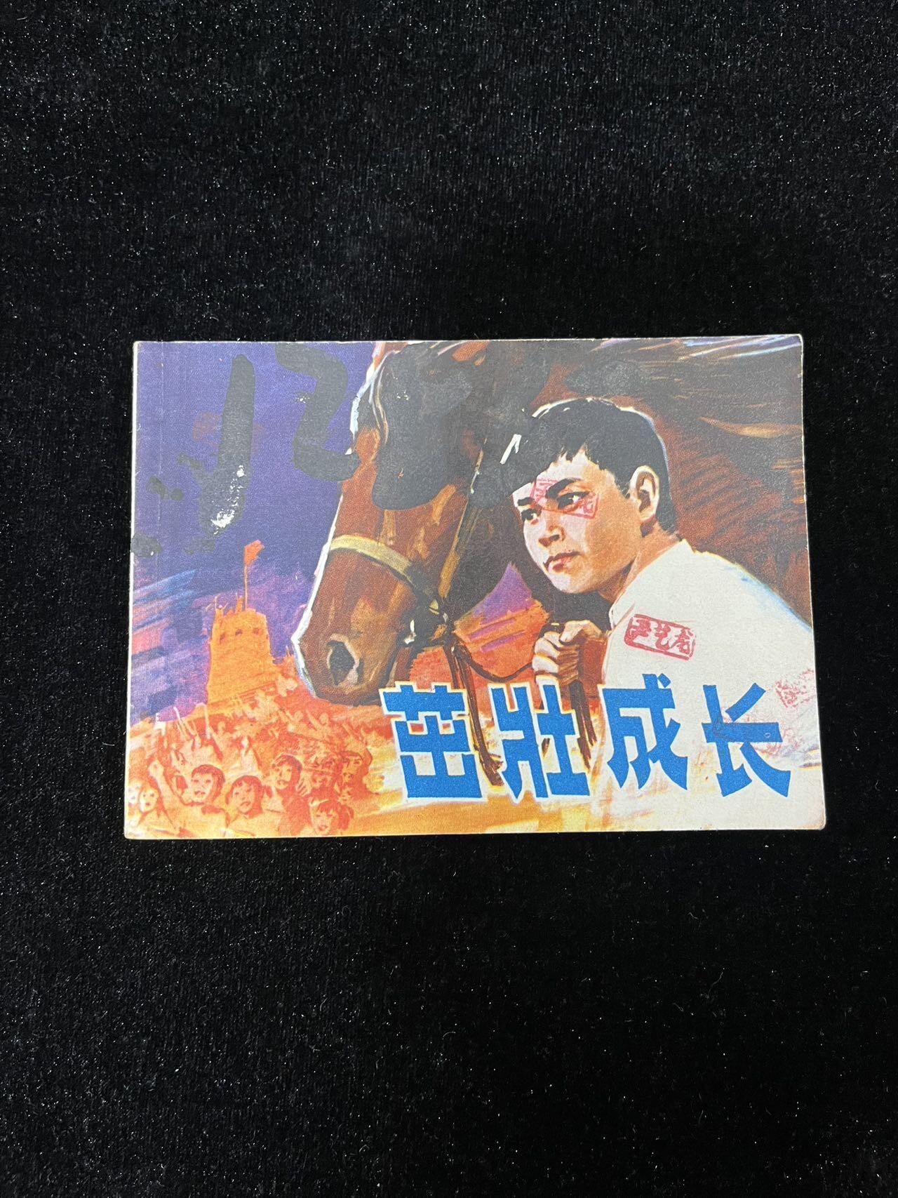 【麦稀奇首场】连环画拍卖 茁壮成长