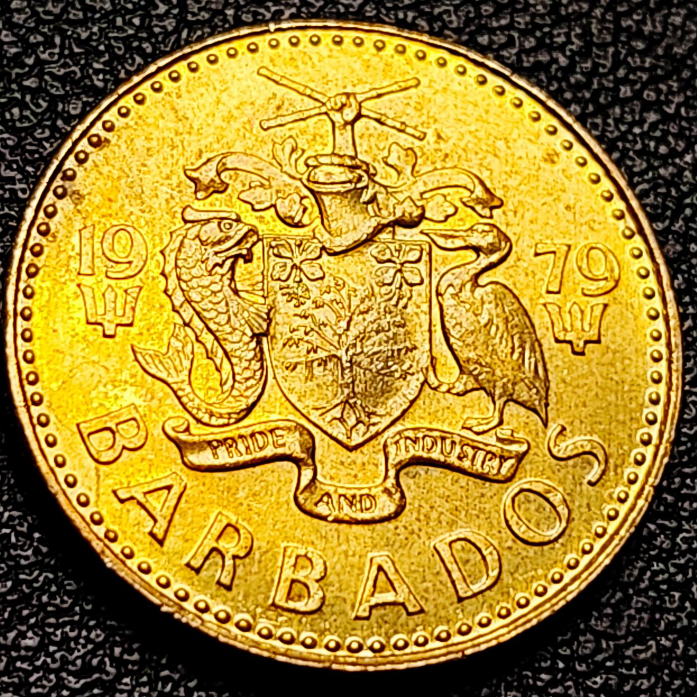 泉币菌-第215场-拍品多 请提前出价（工作最近较忙 发货不及时，望理解） 。