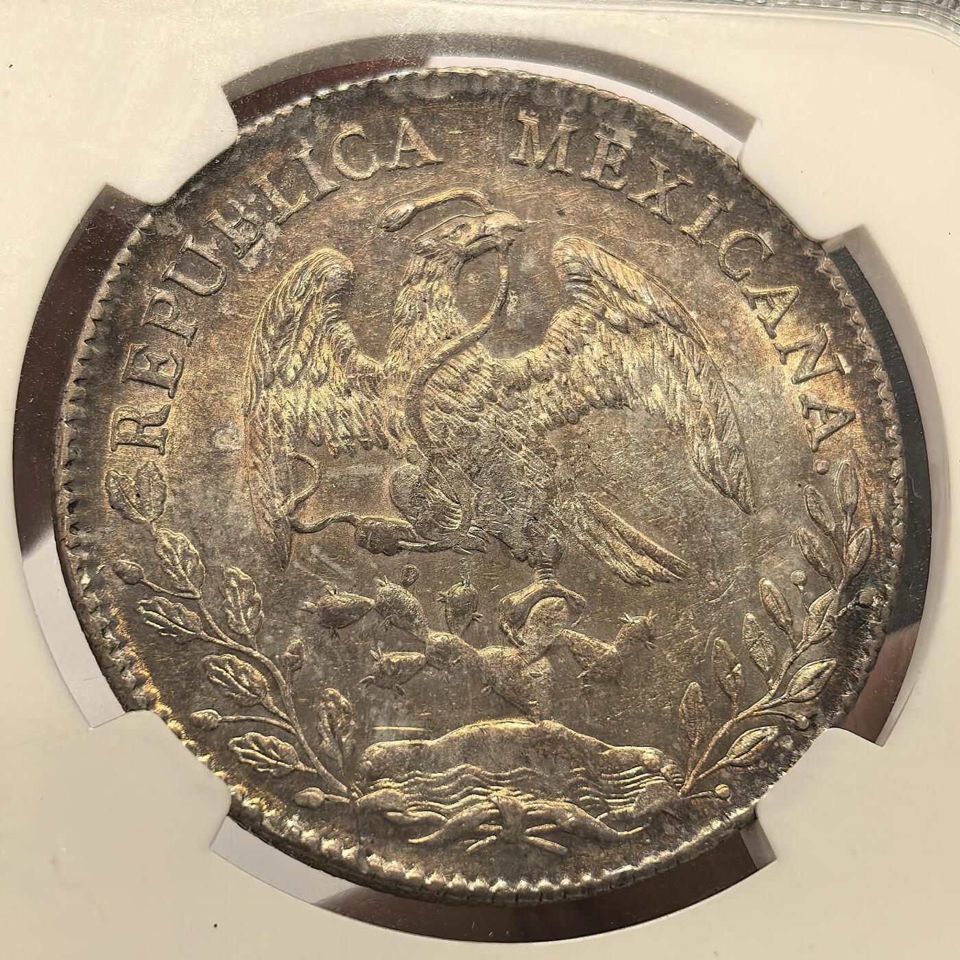 博洋堂世界钱币拍卖第165期（全场包邮） NGC MS63 墨西哥1896年ZS FZ版花边鹰洋 香槟镭射包浆 高级感满满 美轮美奂的视觉盛宴 绝对是藏家不可错过的珍品