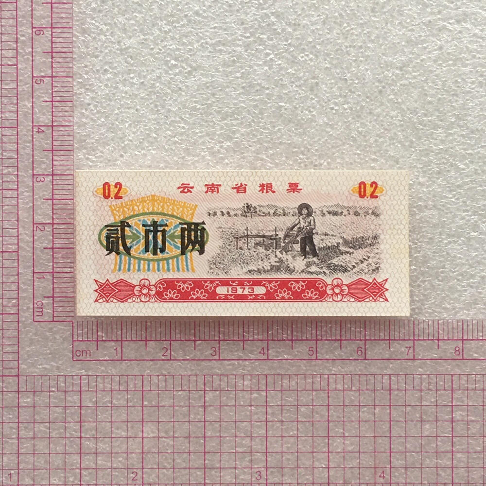         1973年云南省粮票贰市两半市斤全新品相未流通1组2枚原版真品如图供应票证旧藏文玩艺术收藏