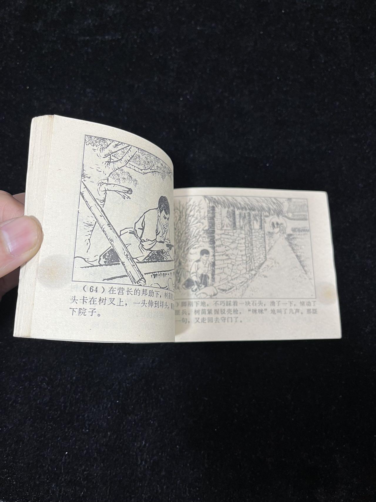 【麦稀奇首场】连环画拍卖 风雨杧果树