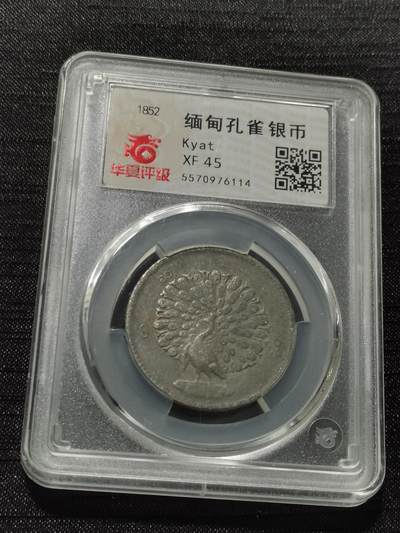 天下钱庄专场欢迎参拍 - 缅甸孔雀银币