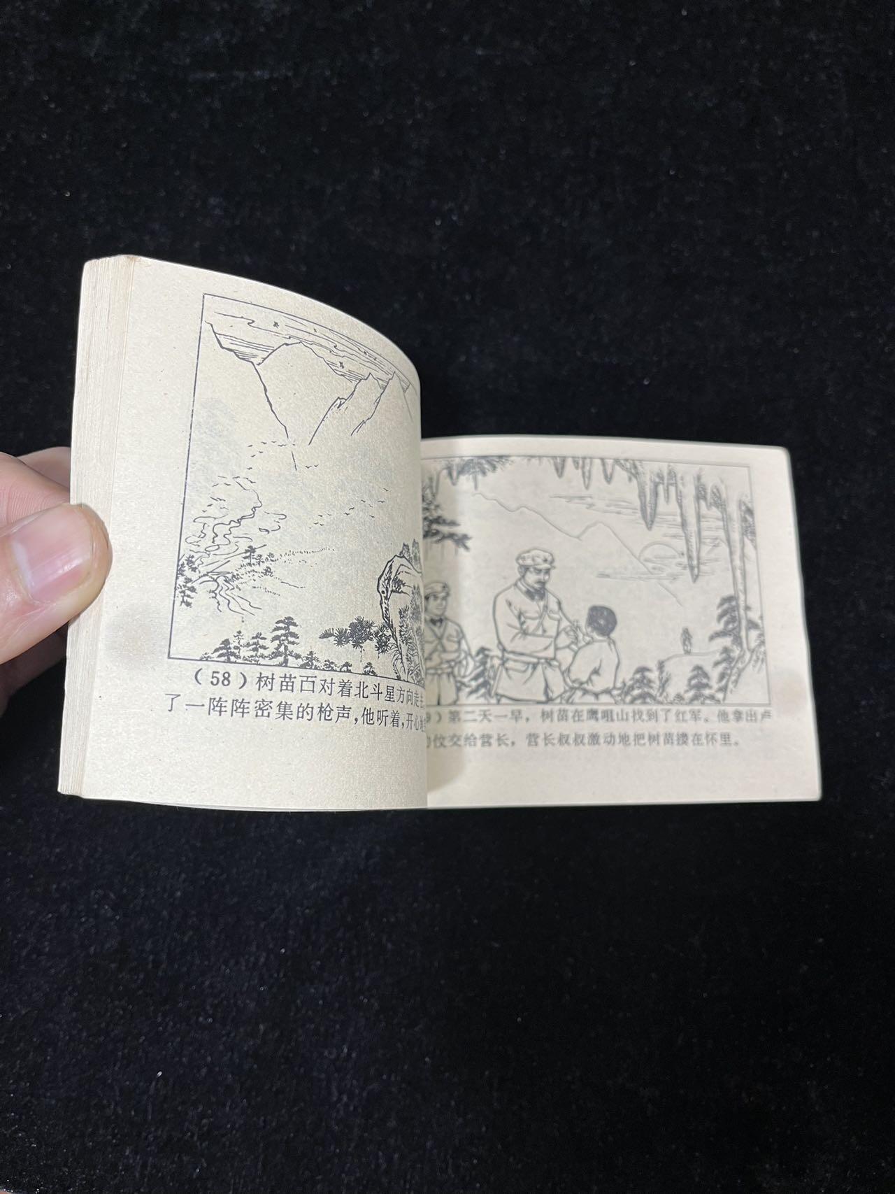 【麦稀奇首场】连环画拍卖 风雨杧果树