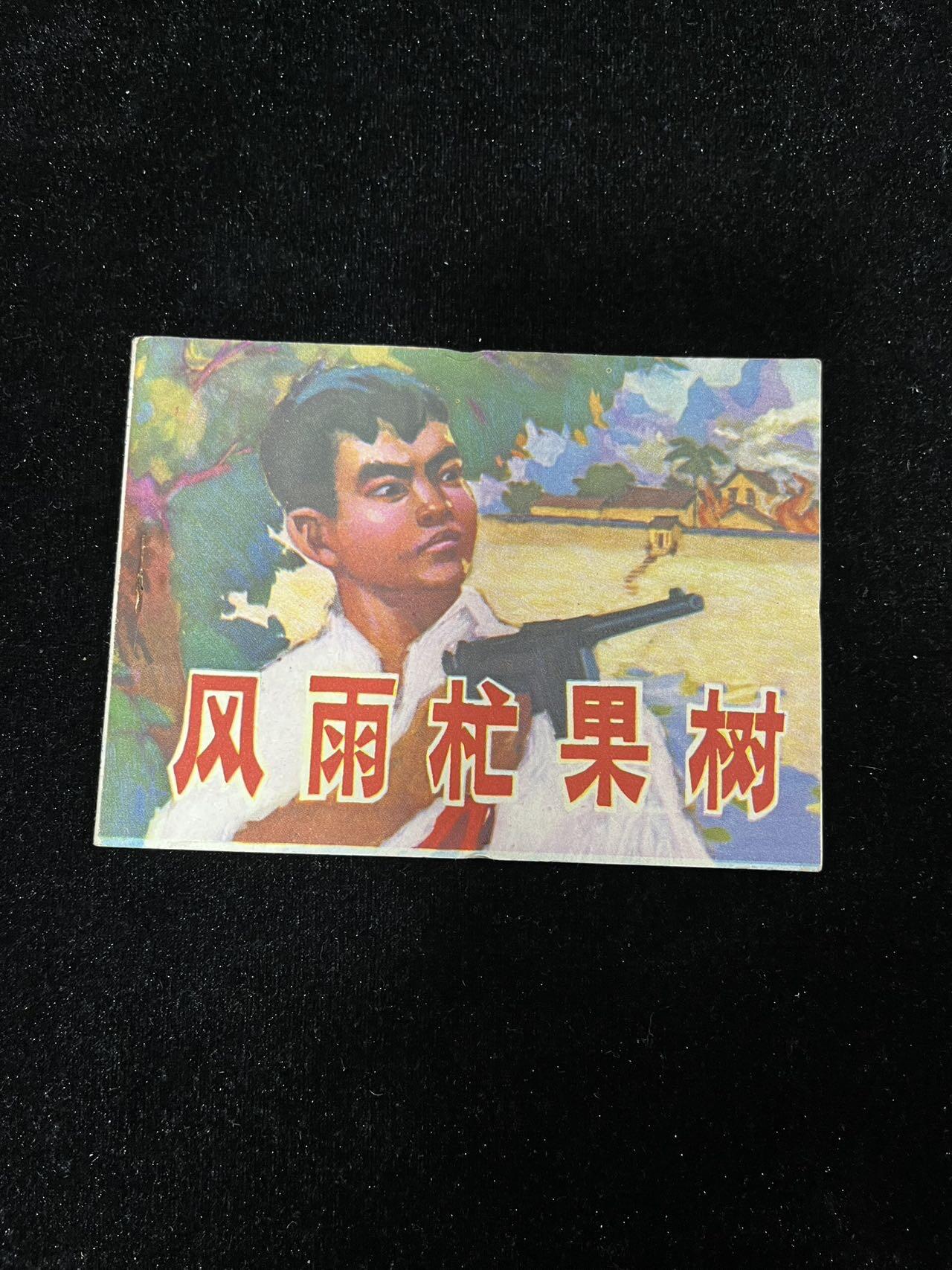 【麦稀奇首场】连环画拍卖 风雨杧果树