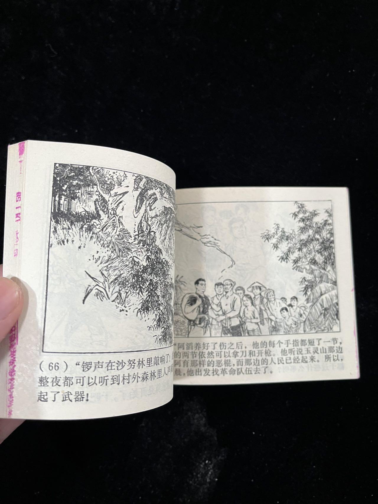 【麦稀奇首场】连环画拍卖 沙努林