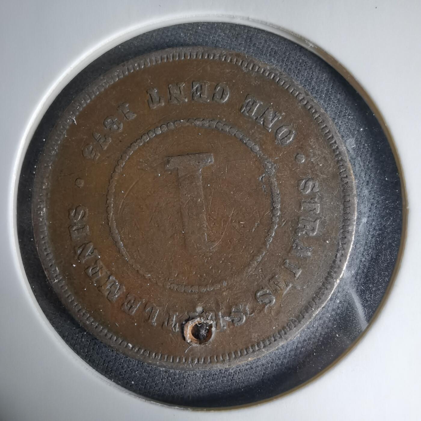 沼泽如烟--第1033场