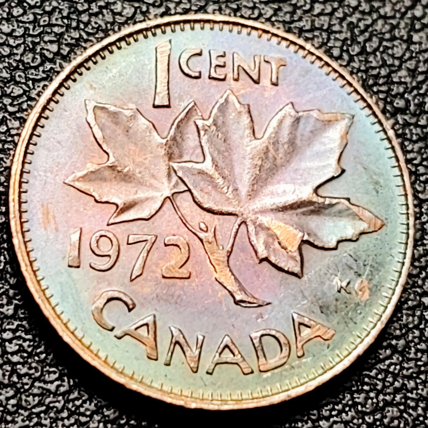 泉币菌-第215场-拍品多 请提前出价（工作最近较忙 发货不及时，望理解） 。