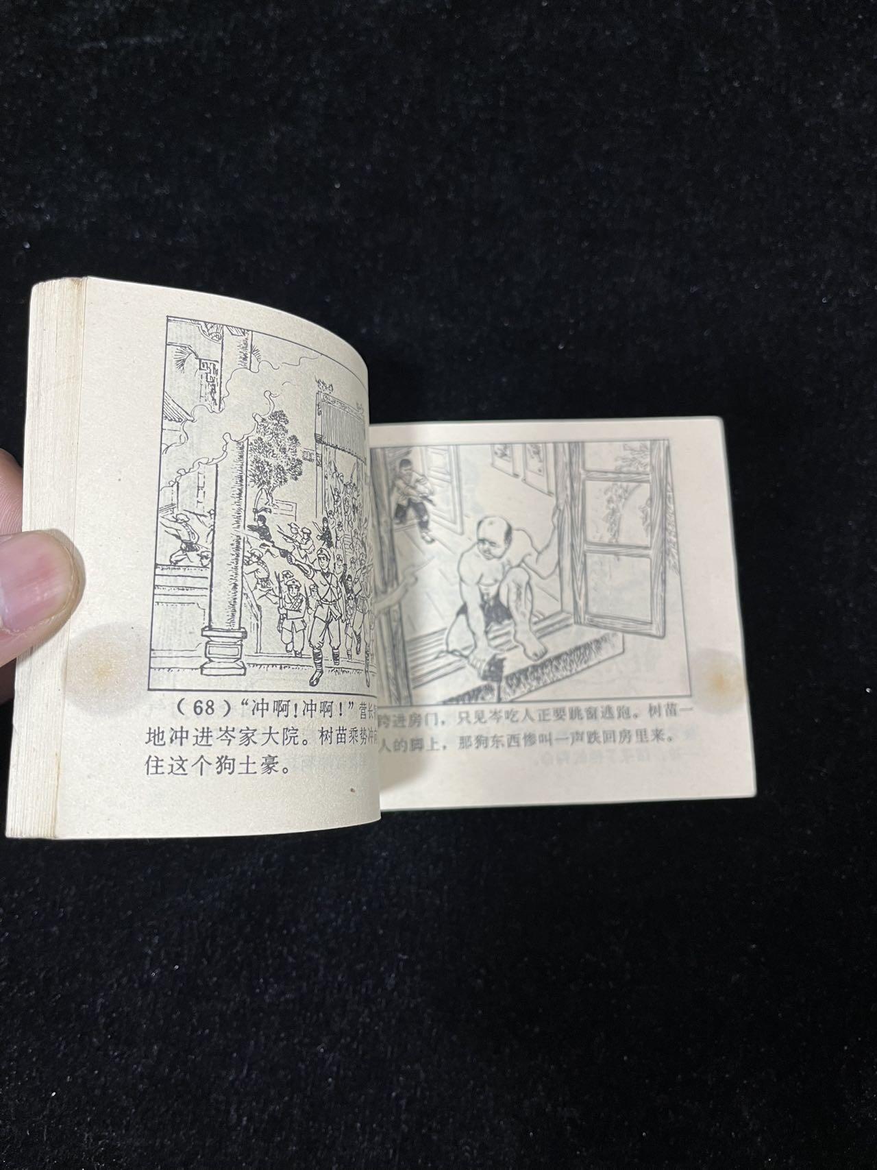 【麦稀奇首场】连环画拍卖 风雨杧果树